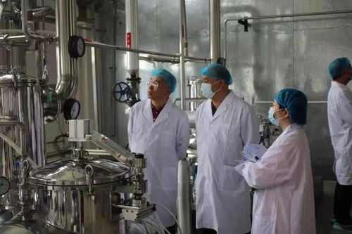 同仁堂興安灤南分公司順利通過保健食品生產(chǎn)許可現(xiàn)場(chǎng)核查，生物制藥研發(fā)生產(chǎn)再添新翼